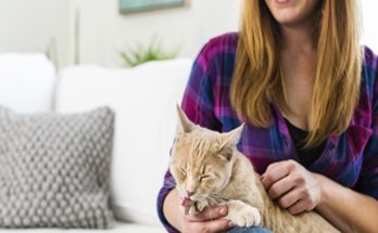 5 tips to take care of your cat at a lower cost